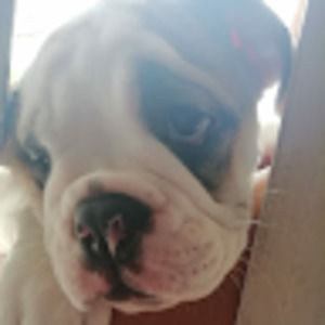 Meet your Posher, Sergio